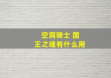 空洞骑士 国王之魂有什么用